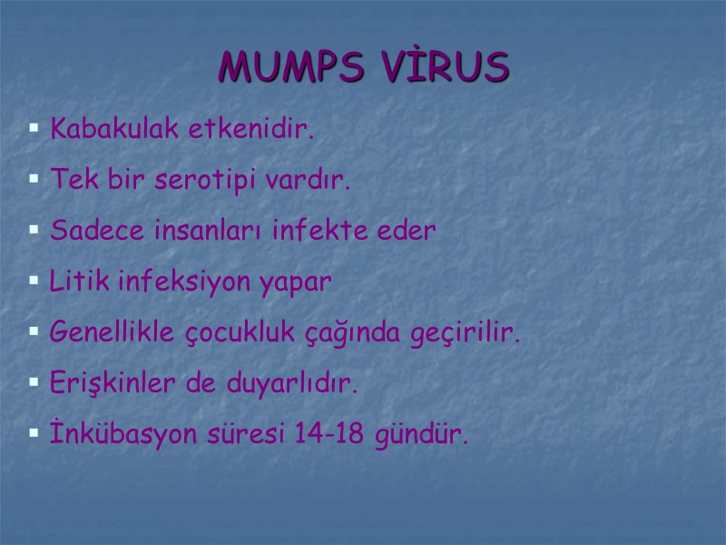 MUMPS VİRUS Kabakulak etkenidir. Tek bir serotipi vardır. Sadece insanları infekte eder Litik infeksiyon